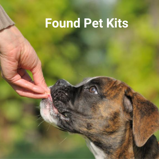 help-stray-dogs-and-cats-with-a-found-pet-kit-pethub